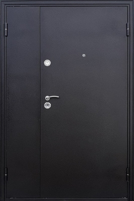 Тамбурная дверь DMP-036