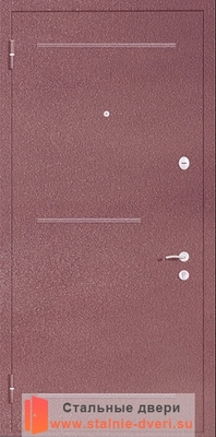 Порошковая дверь с рисунком PR-004