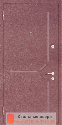 Порошковая дверь с рисунком PR-009