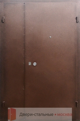 Тамбурная дверь DMP-024