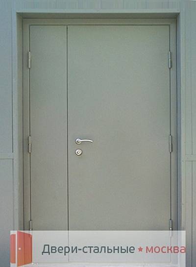 Фото полуторапольной технической двери